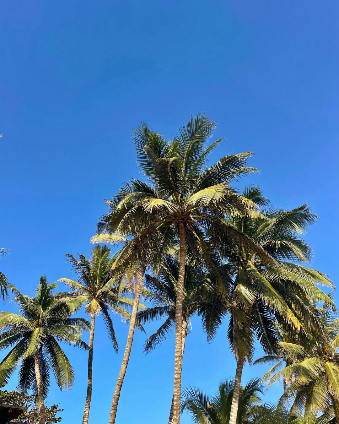 #17 | Dakar | Sénégal