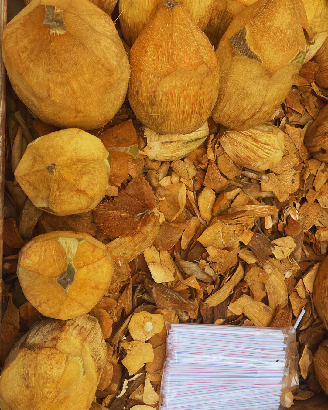 #15 | Dakar | Sénégal