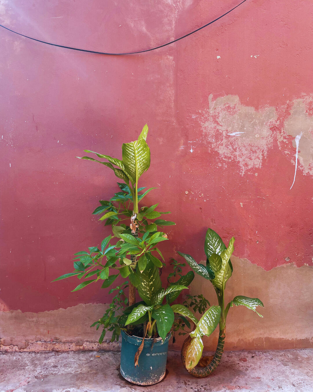 #13 | Dakar | Sénégal